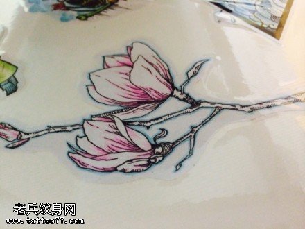 彩色梅花纹身手稿图案由武汉纹身馆提供
