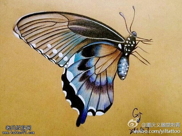 彩色蝴蝶纹身手稿图片由武汉最好的刺青店提供
