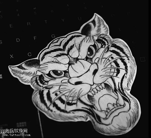 老虎头纹身手稿图片由武汉纹身提供