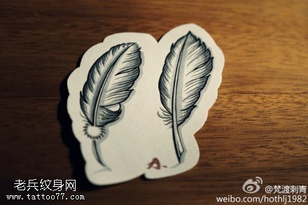 羽毛纹身手稿图片