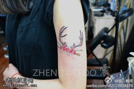女性手臂小清新羚羊角纹身图案