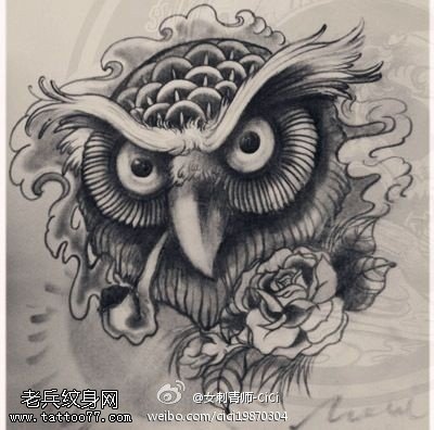猫头鹰玫瑰花纹身手稿图片