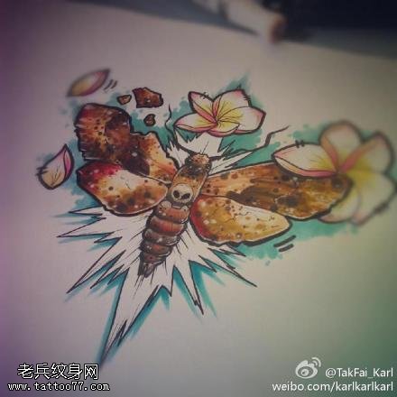 彩色school蛾子纹身手稿图片