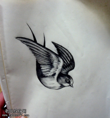黑灰素描燕子纹身手稿图片