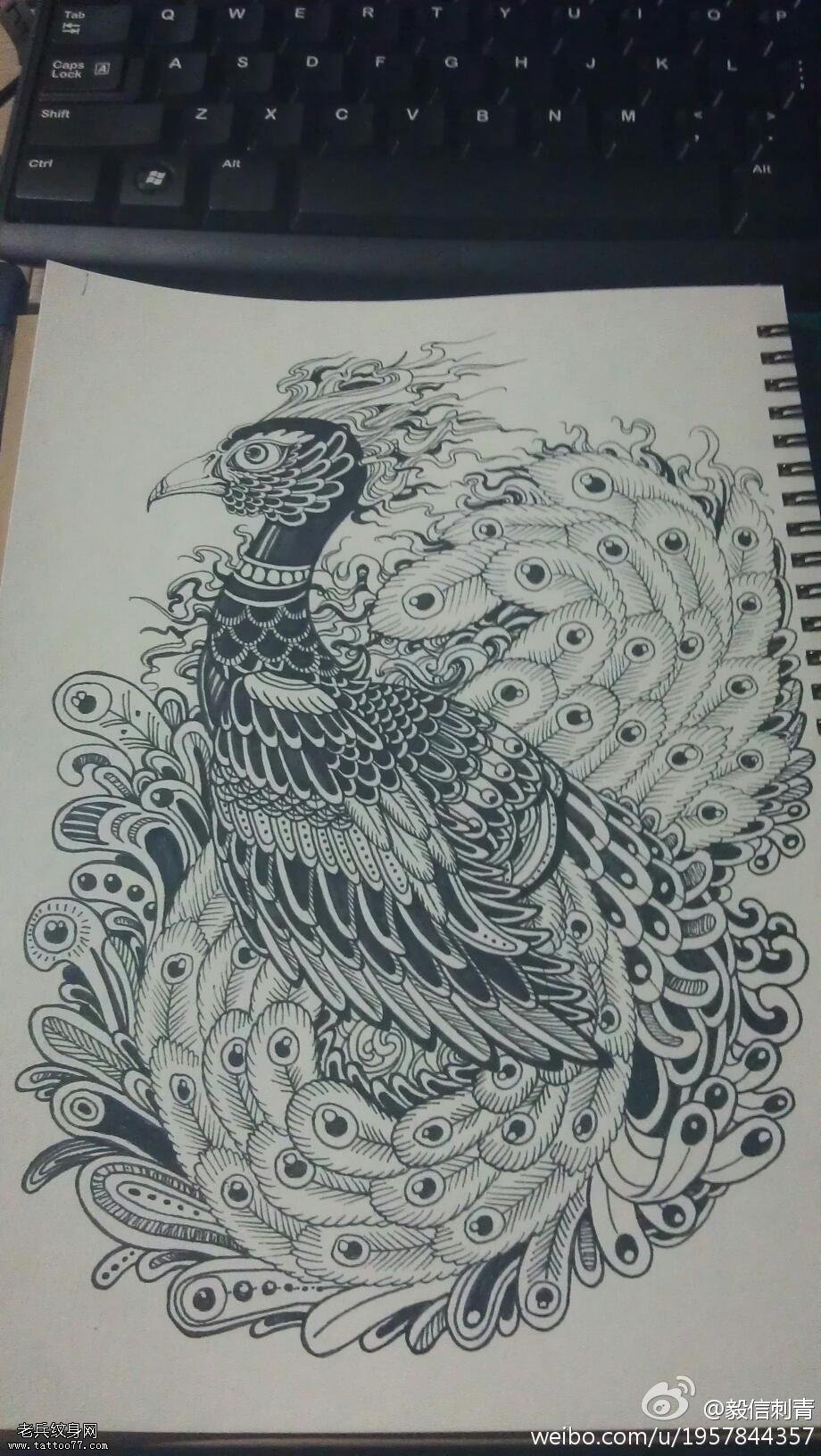 黑灰素描孔雀纹身手稿图案