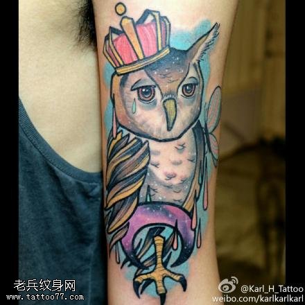 手臂彩色猫头鹰纹身图案