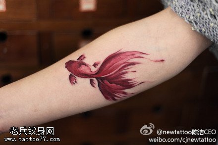 手臂彩色金鱼纹身图案
