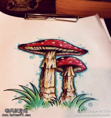 彩色蘑菇纹身手稿图片