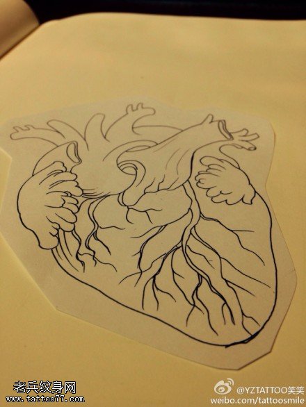 素描心脏纹身手稿图片