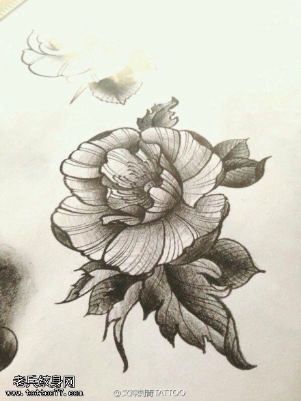 素描玫瑰花纹身手稿图片