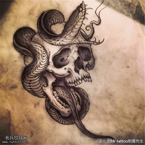 骷髅蛇纹身手稿图片