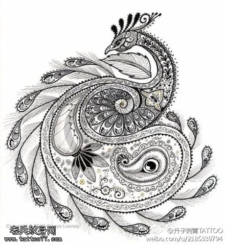 孔雀纹身手稿图片
