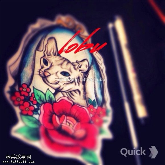 彩色猫咪玫瑰纹身手稿图片