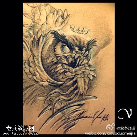 黑灰素描猫头鹰纹身手稿图片