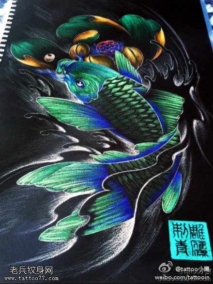 彩色鲤鱼莲花纹身手稿图片