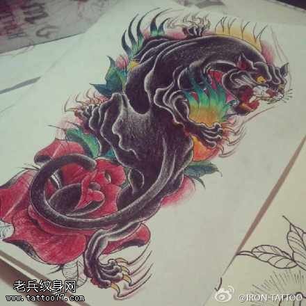彩色黑豹玫瑰花纹身手稿图案