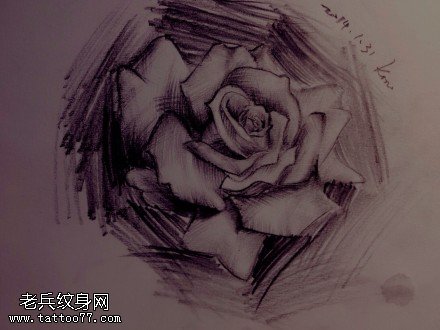 素描黑灰玫瑰花纹身手稿图片