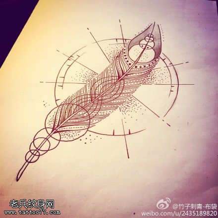 个性羽毛纹身手稿图片