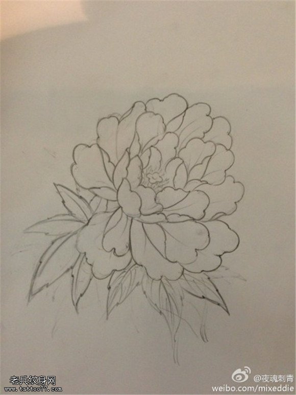 牡丹花线稿图