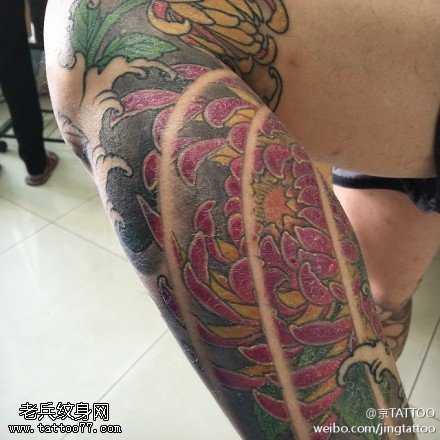 艳丽盛开菊花纹身图案