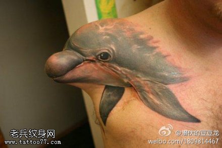 可爱乖巧海豚纹身图案