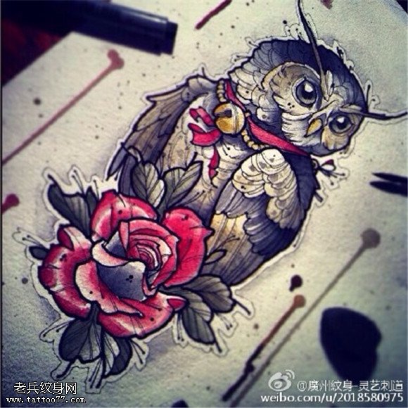 彩色猫头鹰玫瑰纹身图片