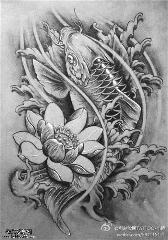 莲花鲤鱼线稿纹身图片