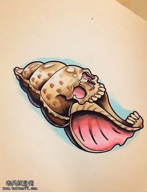 彩色海螺纹身手稿图案