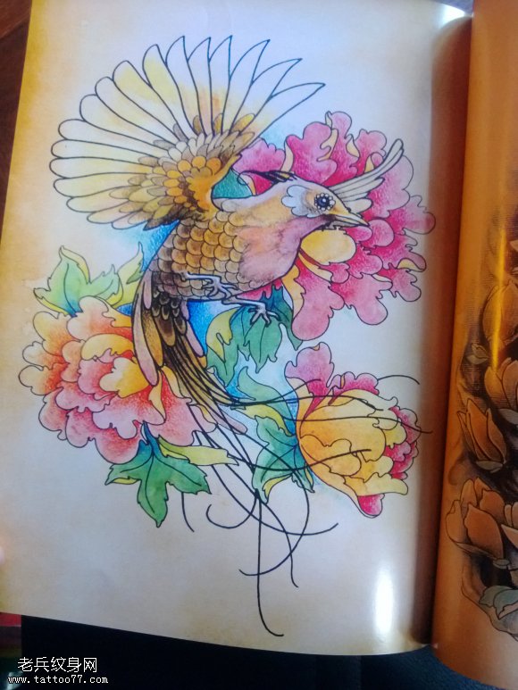 蜂鸟纹身图案