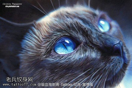 精致亮丽猫咪纹身图案手稿