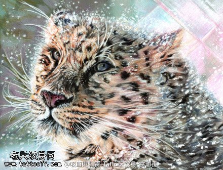 高贵冷静豹子纹身图案