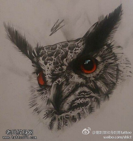 写实眼如宝石猫头鹰纹身图案