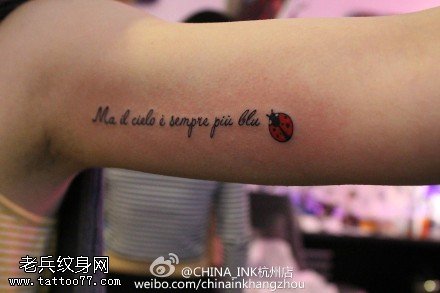 胳膊点刺英文小迷你可爱小瓢虫纹身图案