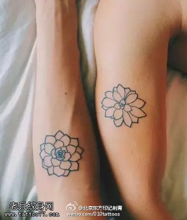 简单情侣莲花点刺纹身图案