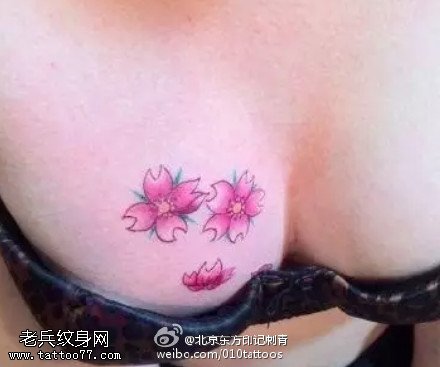 胸部诱惑彩绘小樱花纹身图案