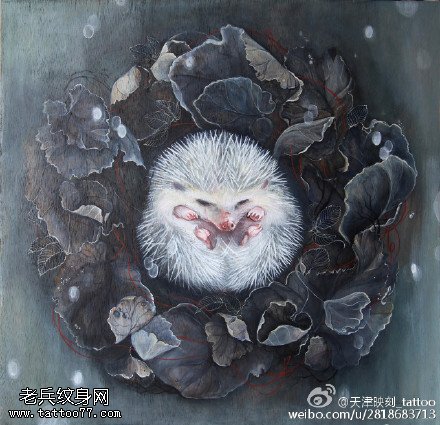 素描可爱的小刺猬纹身图案