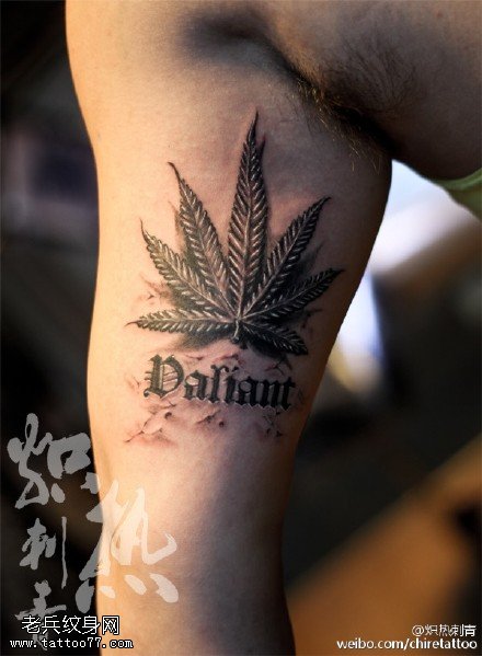 彩绘美丽的枫叶纹身图案