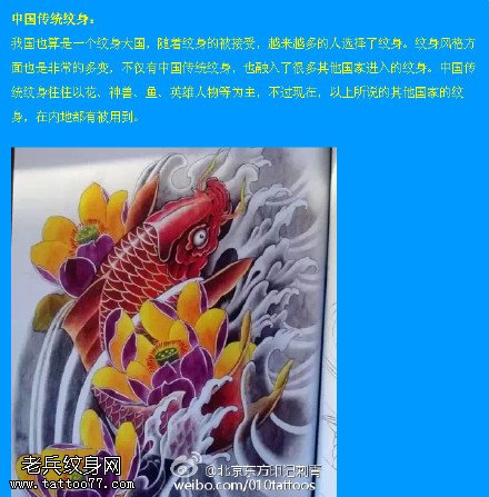 中国传统的锦鲤手稿纹身图案