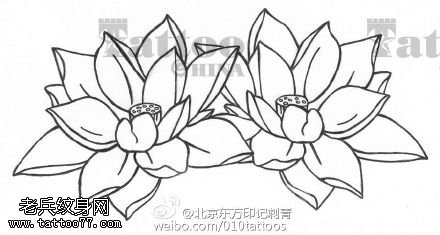 线条优美的荷花手稿纹身图案