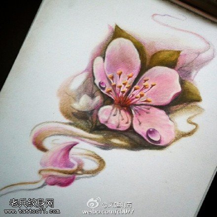 逼真写实的樱花手稿纹身图案
