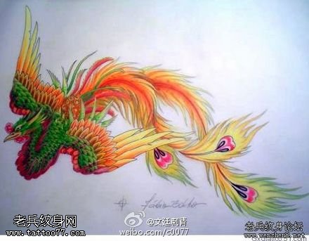 彩色美丽的凤凰纹身图案