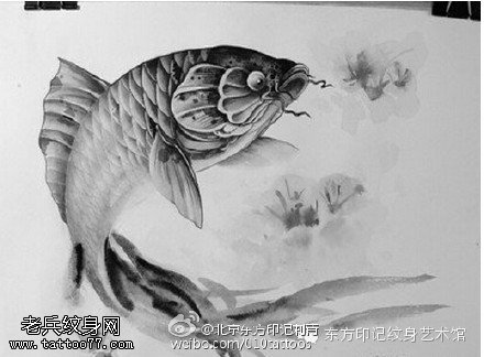 水墨锦鲤鱼手稿纹身图案