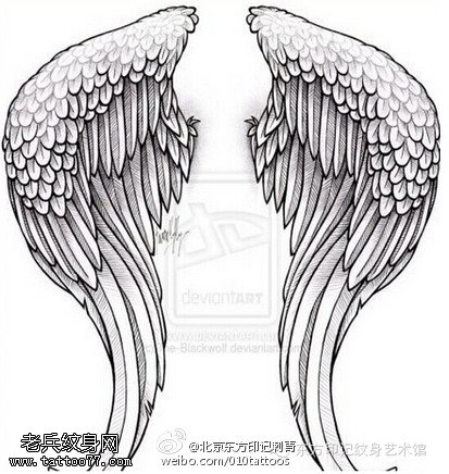 天使之翼手稿纹身图案