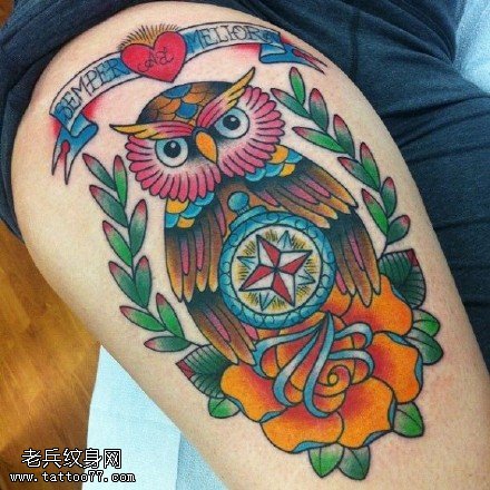漂亮的猫头鹰彩绘纹身图案