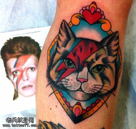欧美风色调鲜艳的猫咪纹身图案
