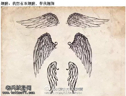 各种自由的翅膀手稿纹身图案