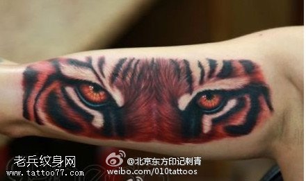彩绘逼真的3d老虎纹身图案