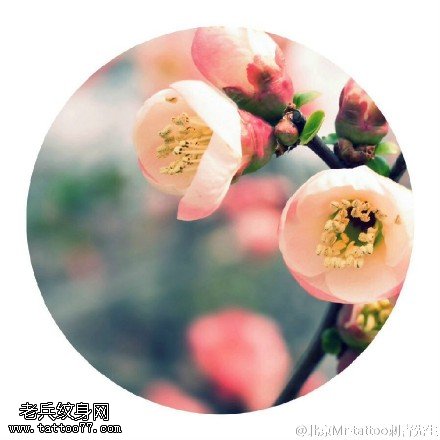 含苞未放的桃花纹身图案