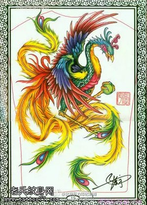 中国风漂亮的凤凰手稿纹身图案