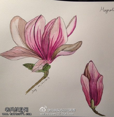 彩色木兰花手稿纹身图案